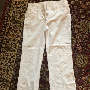 Women’s dress pants